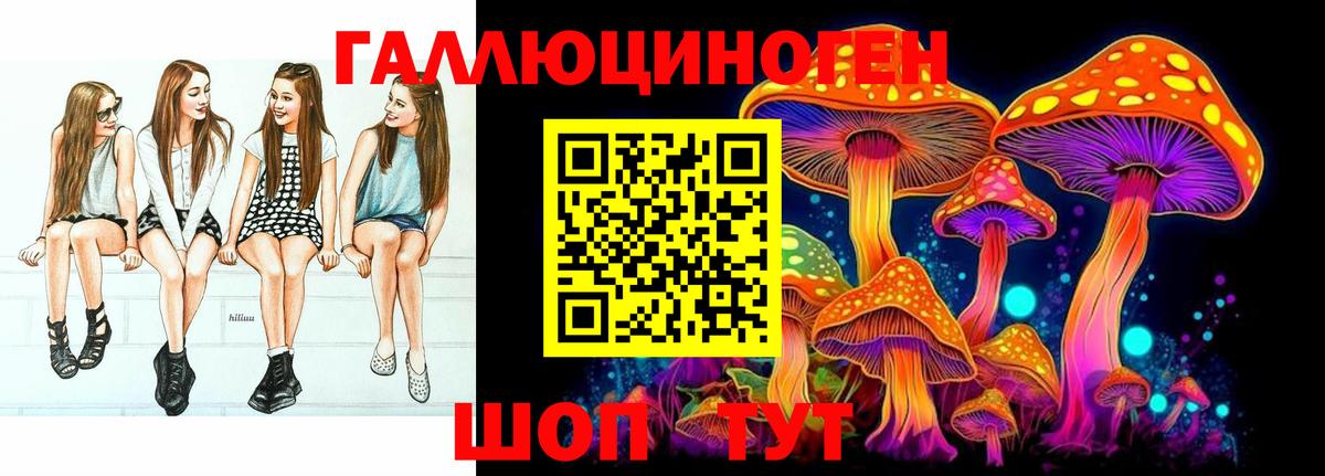 Галлюциногенные грибы Psilocybe  Псилоцибиновые грибы мицелий  Вход с VPN  продажа наркотиков  Карасук 