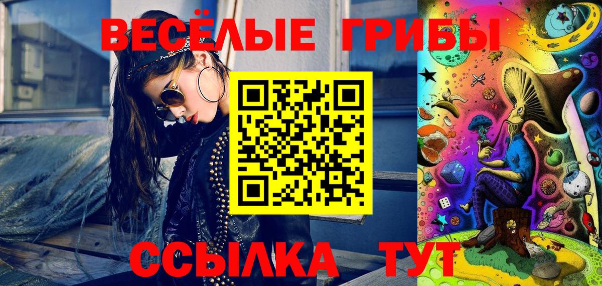 Псилоцибиновые грибы Cubensis Карасук